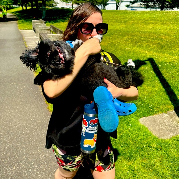 Meet your Posher, Posh - Picture 1 of 1